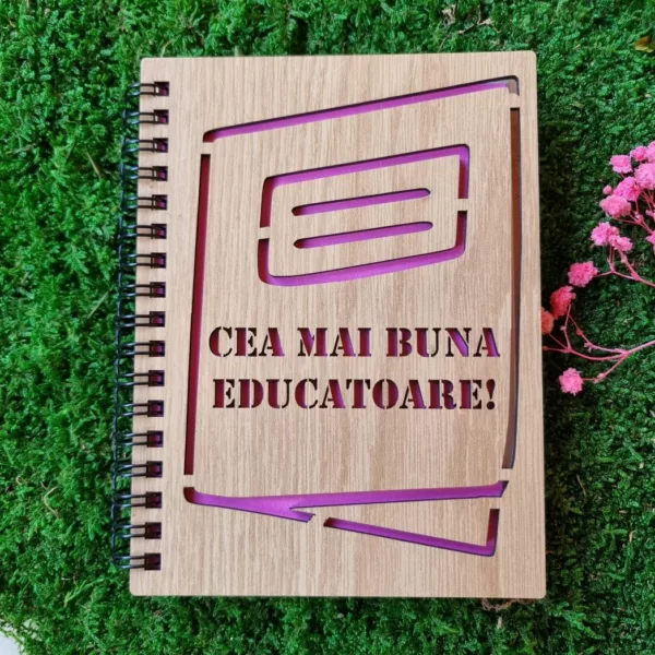 Agenda educatoare